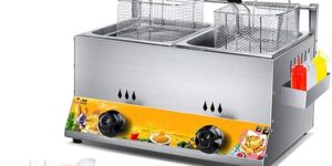ZLYD Freidora de gas de mesa de acero inoxidable