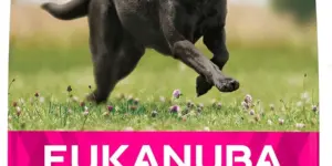 Eukanuba Alimento seco para perros adultos