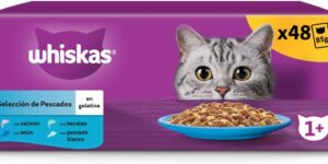 Whiskas Comida Húmeda para Gatos