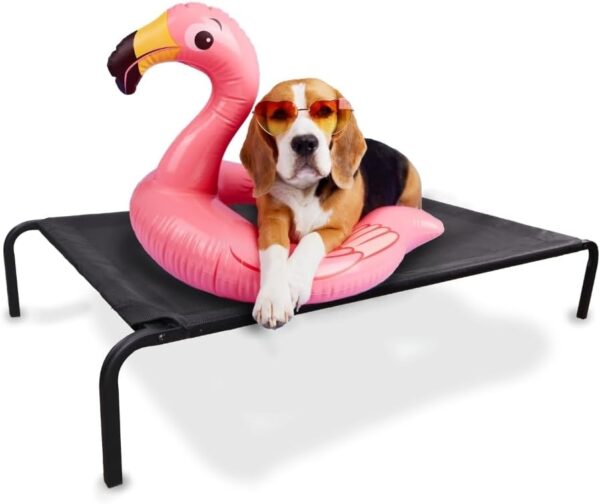 Mobiclinic® Pets, Cama elevada Perro,...