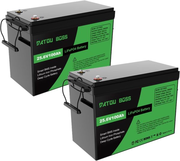 DATOUBOSS 2*Batería 24V 100Ah LiFePO4