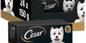 Cesar Pak Campesin 3 X 8 X 150 Bh01J.