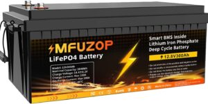 MFUZOP Batería Litio 12V 300Ah. BMS
