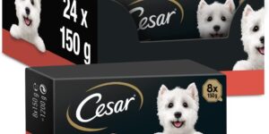 Cesar Pak Clasicos 3 X 8 X 150 Bh01W.