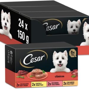Cesar Pak Clasicos 3 X 8 X 150 Bh01W.