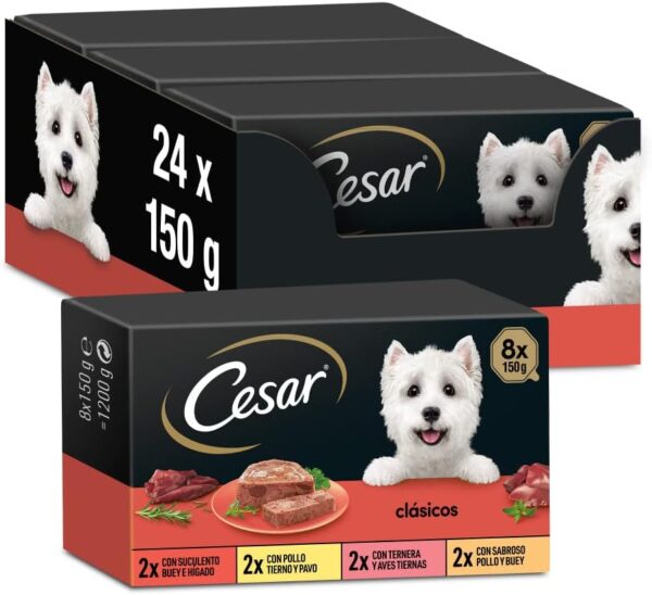 Cesar Pak Clasicos 3 X 8 X 150 Bh01W,...