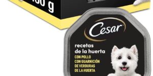 Cesar Comida Húmeda para Perros.