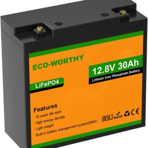 ECO-WORTHY Batería LiFePO4 de 12 V y 30