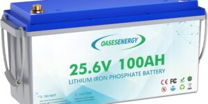 Oasesenergy Batería de Litio 24V 100Ah