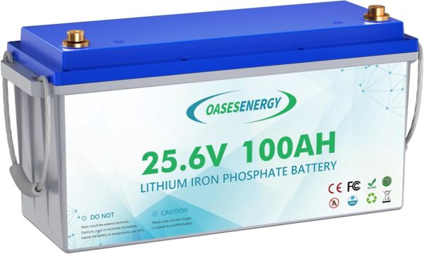 Oasesenergy Batería de Litio 24V 100Ah