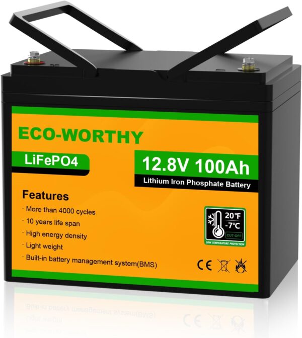 ECO-WORTHY Bateria Litio 12V 100Ah
