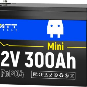 Batería de litio LiFePO4 de 12 V y 300... Batería de litio LiFePO4 de 12 V y 300