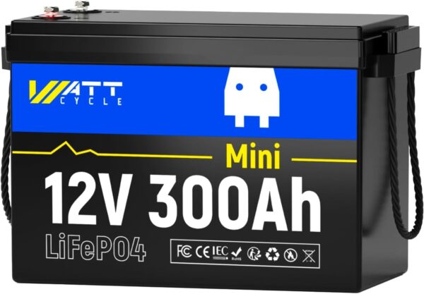 Batería de litio LiFePO4 de 12 V y 300