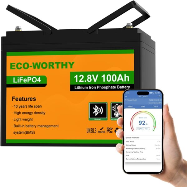 ECO-WORTHY Batería LiFePO4 de 12 V y