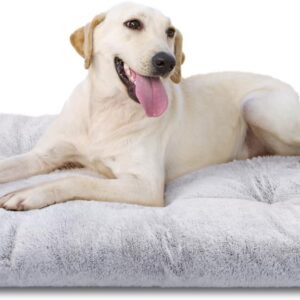 61zaHI1FPuL._AC_SL1500_.jpg Nobleza Cama Lavable Grande para