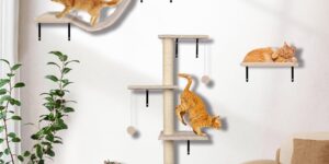 Myiosus Pared de Escalada para Gatos -