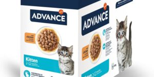 Advance Comida Húmeda para Gatitos con