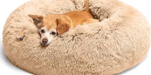 LUOJINYI Cama para perros, mullida,...