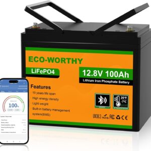 ECO-WORTHY - Batería de litio (12 V.