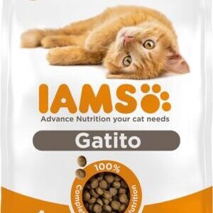 comida para gatos IAMS Alimento seco para gatitos de 1-12