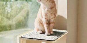 pecute Cama Ventana para Gatos. Pared y