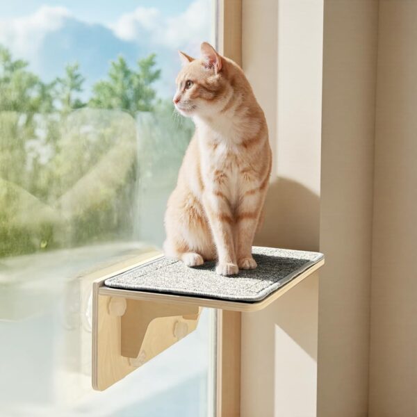 pecute Cama Ventana para Gatos, Pared y...