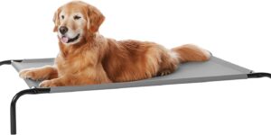 Amazon Basics Perro Cama elevada