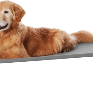 Amazon Basics Perro Cama elevada