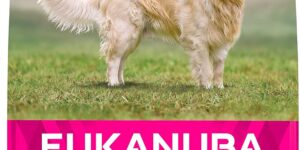 EUKANUBA Daily Care Alimento seco para