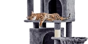 Yaheetech Rascador XXL para Gatos de