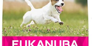 Eukanuba Alimento fresco para perros
