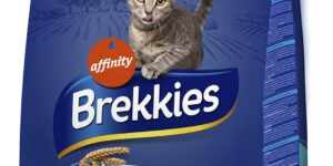 Brekkies Pienso para Gatos con Salmon.