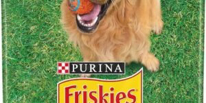 Friskies Purina Friskies Pienso para