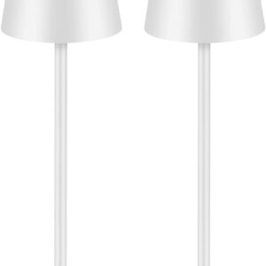 2 lámparas LED regulables de mesa