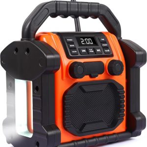 Bingxue Radio portatil FM p250,