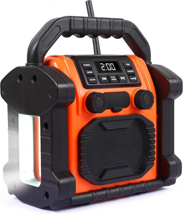 Bingxue Radio portatil FM p250,