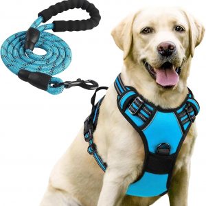 Ajustable Arnes Perro