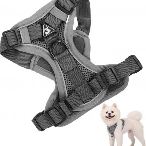 Arnés Perro Pequeños Medianos