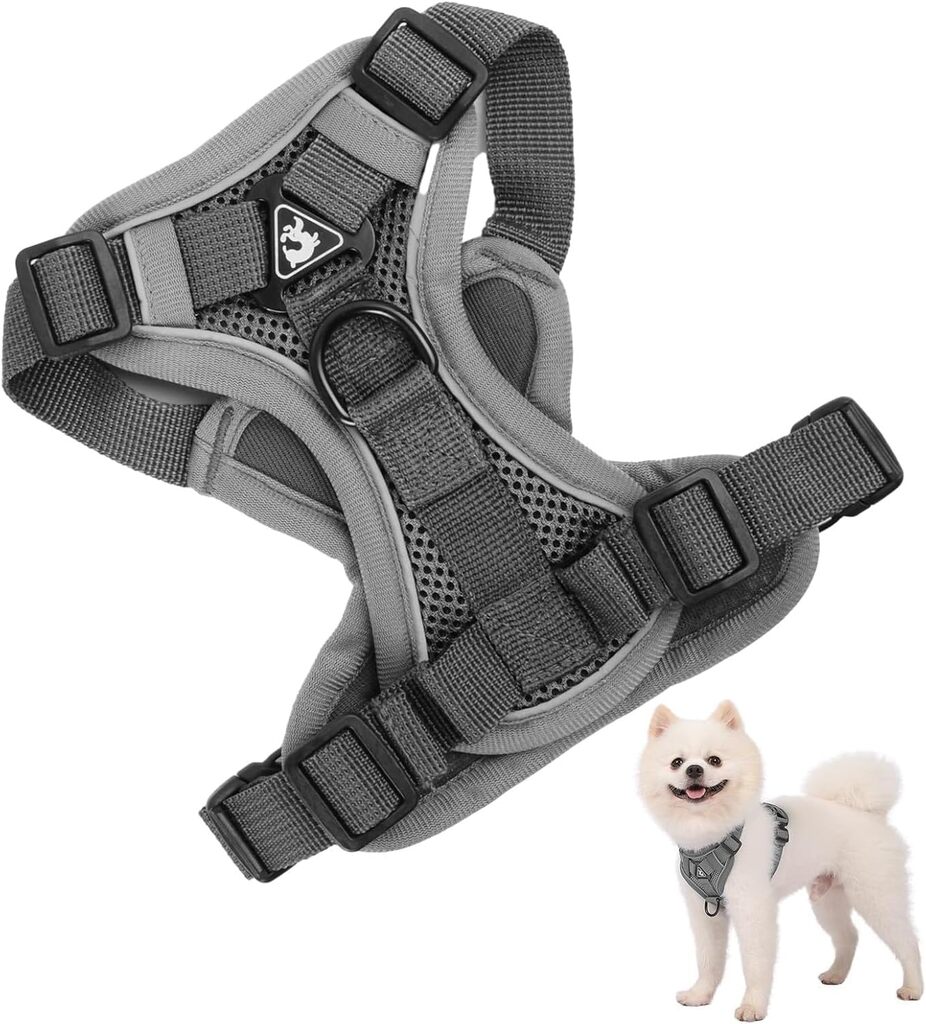 Arnés Perro Pequeños Medianos