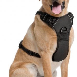 Arnés para Perros Grandes - Grande,