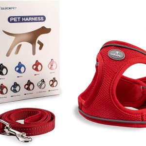 Arnés para Perros Pequeños y