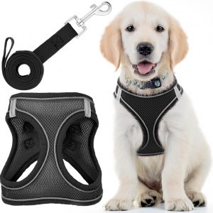 Arnés para Perros con Correa -