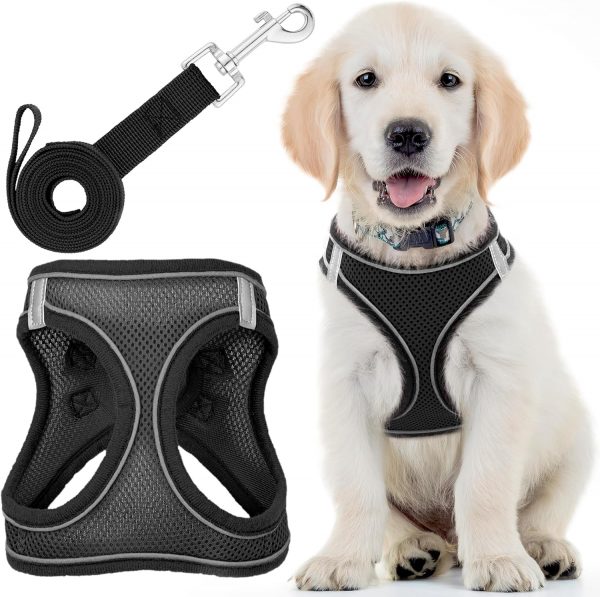 Arnés para Perros con Correa -