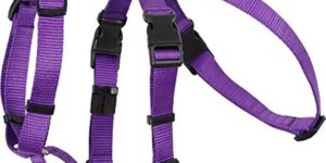 Arppe Arnés Nylon Basic Triple: