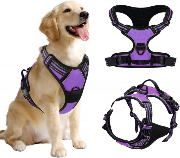 DKDDSSS Arnes Perro Arnés para