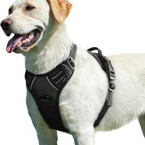 Eagloo Arnes Perro Grande Mediano,