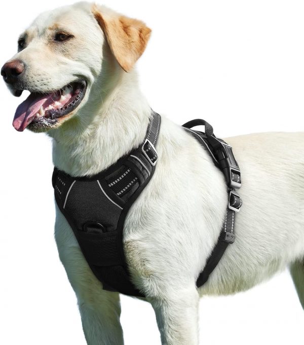 Eagloo Arnes Perro Grande Mediano,