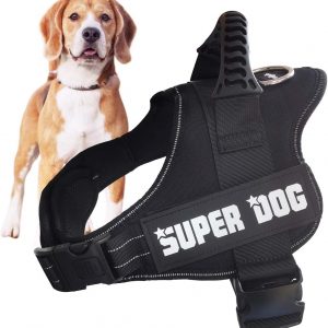 Edipets, Arnes Perro, Antitirones,