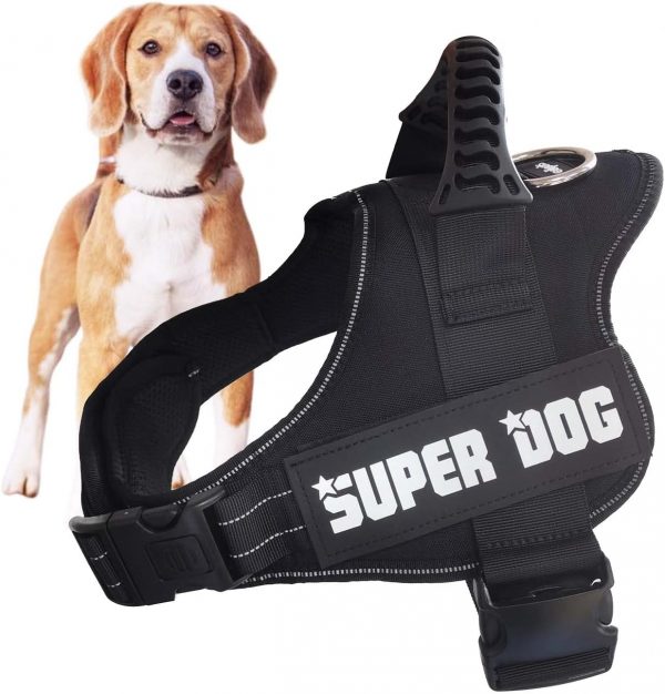 Edipets, Arnes Perro, Antitirones,