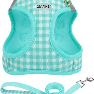 GIAPINST Arnés Perro Pequeños,
